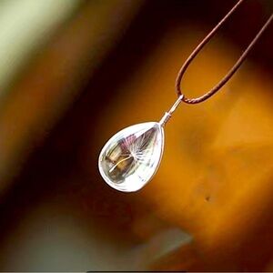 Natural dried Dandelion Pendant Necklace